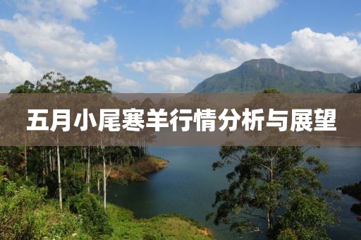 五月小尾寒羊行情分析与展望