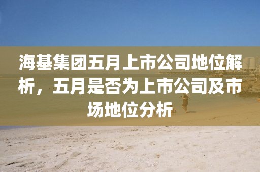 海基集团五月上市公司地位解析，五月是否为上市公司及市场地位分析