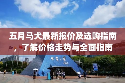 五月马犬最新报价及选购指南，了解价格走势与全面指南