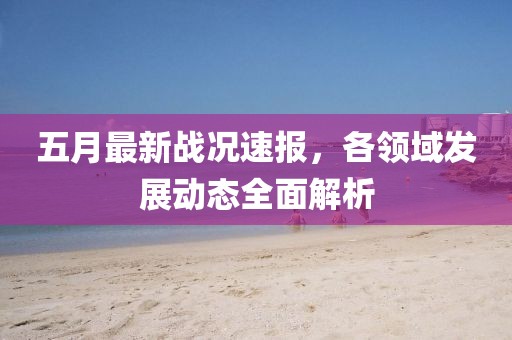 五月最新战况速报，各领域发展动态全面解析