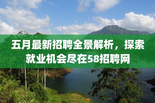 五月最新招聘全景解析，探索就业机会尽在58招聘网