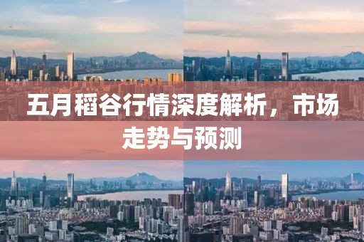 五月稻谷行情深度解析，市场走势与预测