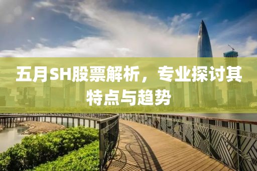 五月SH股票解析，专业探讨其特点与趋势