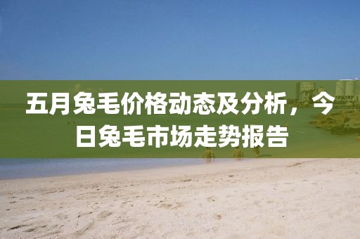五月兔毛价格动态及分析，今日兔毛市场走势报告