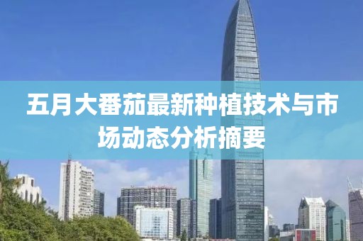 五月大番茄最新种植技术与市场动态分析摘要