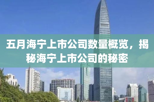 五月海宁上市公司数量概览，揭秘海宁上市公司的秘密