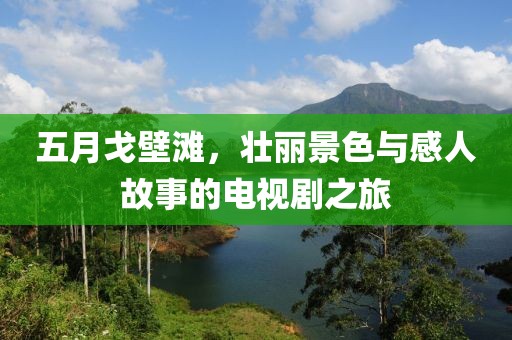 五月戈壁滩，壮丽景色与感人故事的电视剧之旅
