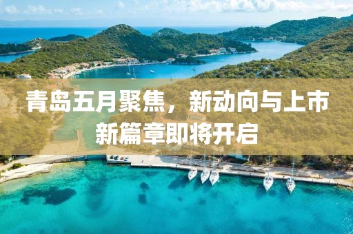 青岛五月聚焦，新动向与上市新篇章即将开启