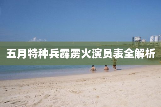 五月特种兵霹雳火演员表全解析