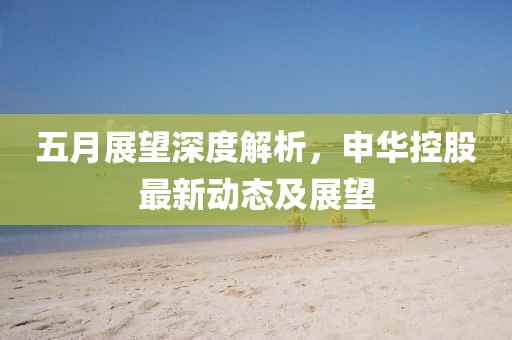 五月展望深度解析，申华控股最新动态及展望