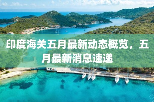 印度海关五月最新动态概览，五月最新消息速递