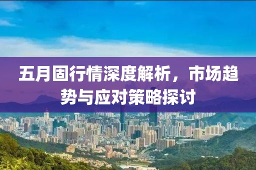 五月固行情深度解析，市场趋势与应对策略探讨