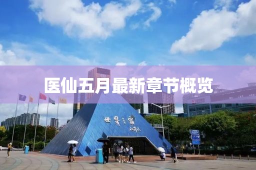 医仙五月最新章节概览