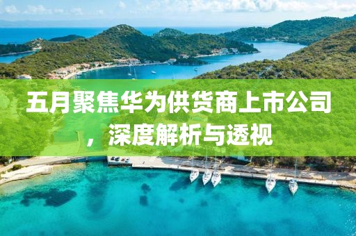 五月聚焦华为供货商上市公司，深度解析与透视