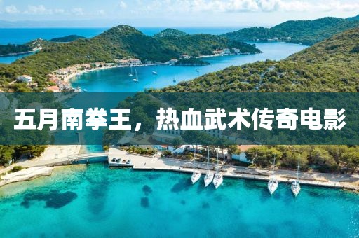 五月南拳王，热血武术传奇电影