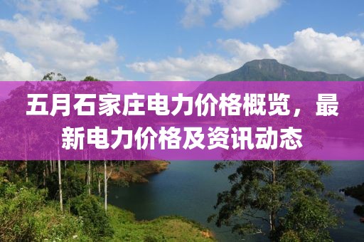 五月石家庄电力价格概览，最新电力价格及资讯动态