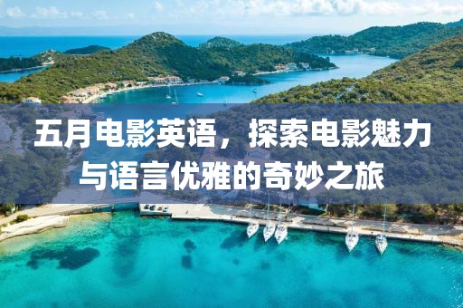 五月电影英语，探索电影魅力与语言优雅的奇妙之旅