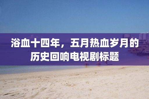 浴血十四年，五月热血岁月的历史回响电视剧标题