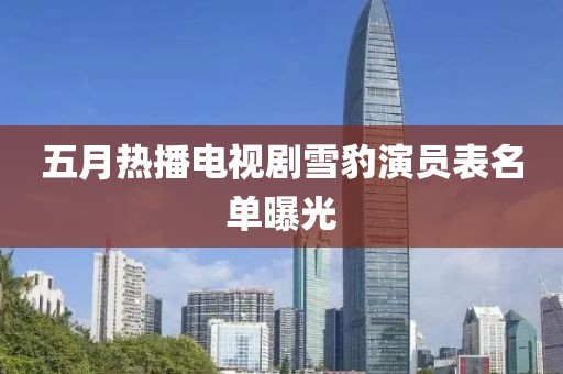 五月热播电视剧雪豹演员表名单曝光