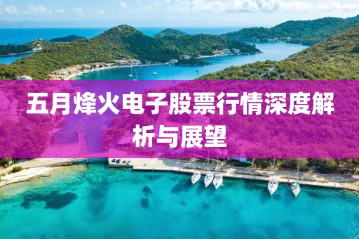 五月烽火电子股票行情深度解析与展望