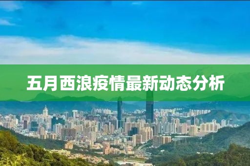 五月西浪疫情最新动态分析