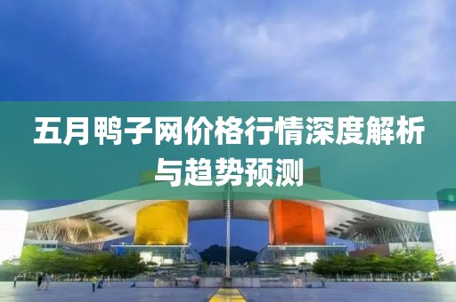 五月鸭子网价格行情深度解析与趋势预测