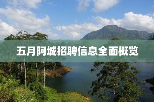 五月阿城招聘信息全面概览