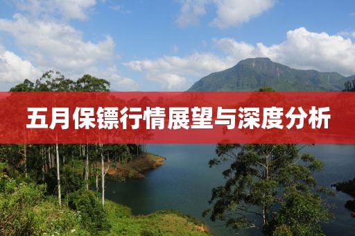 五月保镖行情展望与深度分析