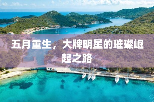 五月重生，大牌明星的璀璨崛起之路