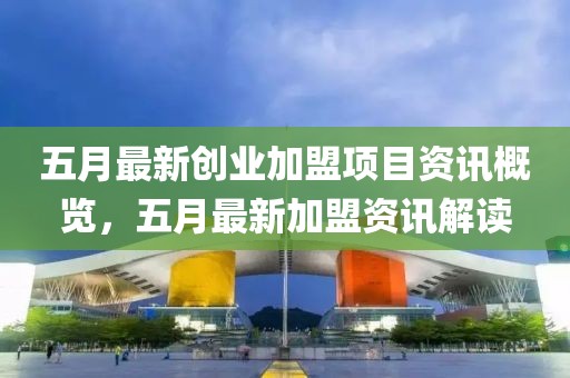 五月最新创业加盟项目资讯概览，五月最新加盟资讯解读
