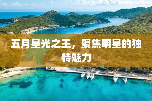 五月星光之王，聚焦明星的独特魅力