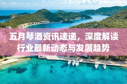五月琴酒资讯速递，深度解读行业最新动态与发展趋势