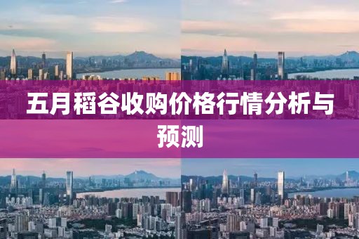 五月稻谷收购价格行情分析与预测