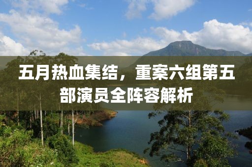 五月热血集结，重案六组第五部演员全阵容解析
