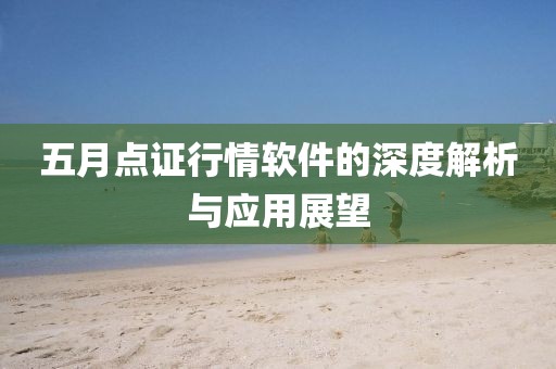 五月点证行情软件的深度解析与应用展望