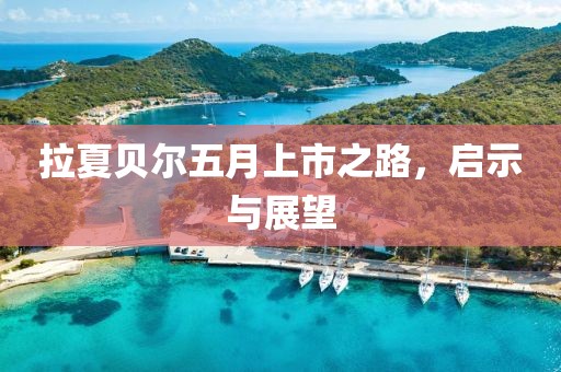 拉夏贝尔五月上市之路，启示与展望