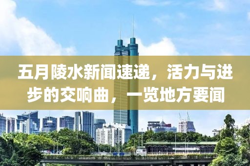 五月陵水新闻速递，活力与进步的交响曲，一览地方要闻