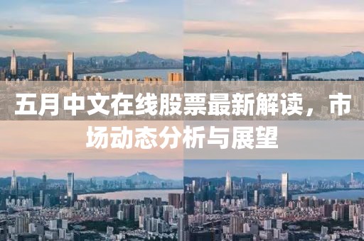 五月中文在线股票最新解读，市场动态分析与展望