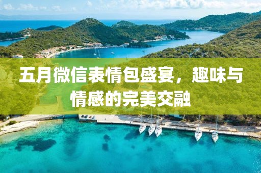 五月微信表情包盛宴，趣味与情感的完美交融