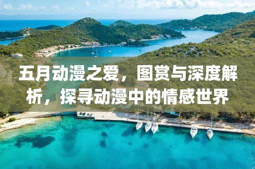 五月动漫之爱，图赏与深度解析，探寻动漫中的情感世界
