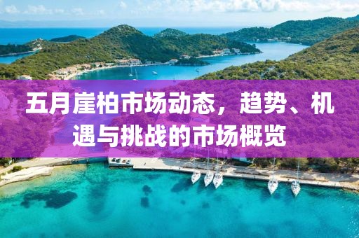 五月崖柏市场动态，趋势、机遇与挑战的市场概览