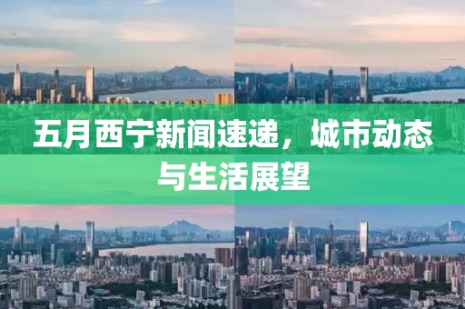五月西宁新闻速递，城市动态与生活展望