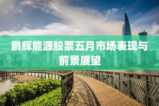鹏辉能源股票五月市场表现与前景展望