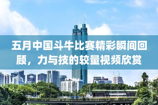 五月中国斗牛比赛精彩瞬间回顾，力与技的较量视频欣赏