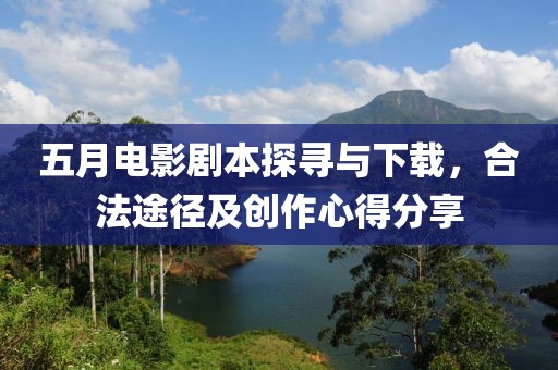 五月电影剧本探寻与下载，合法途径及创作心得分享