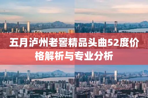 五月泸州老窖精品头曲52度价格解析与专业分析