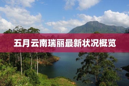 五月云南瑞丽最新状况概览