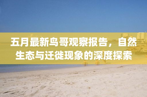 五月最新鸟哥观察报告，自然生态与迁徙现象的深度探索