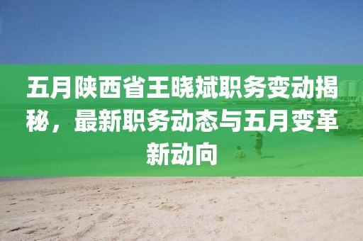 五月陕西省王晓斌职务变动揭秘，最新职务动态与五月变革新动向
