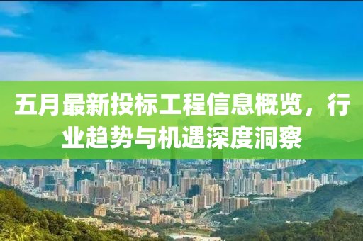 五月最新投标工程信息概览，行业趋势与机遇深度洞察